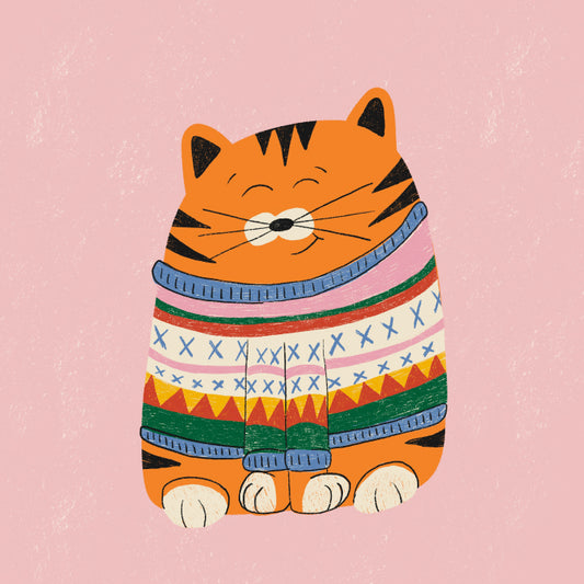 Sweater cat